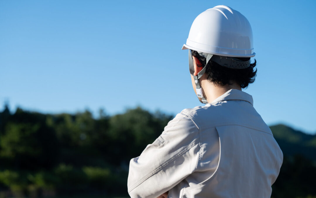 テキストダミー②